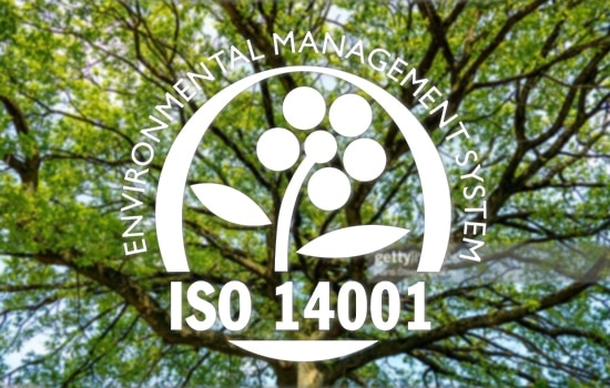 Træ i baggrunden med picto-stempel for ISO 14001 - Miljøstyringssystem